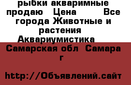 рыбки акваримные продаю › Цена ­ 30 - Все города Животные и растения » Аквариумистика   . Самарская обл.,Самара г.